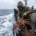 Arctic Premium Seafood Collection